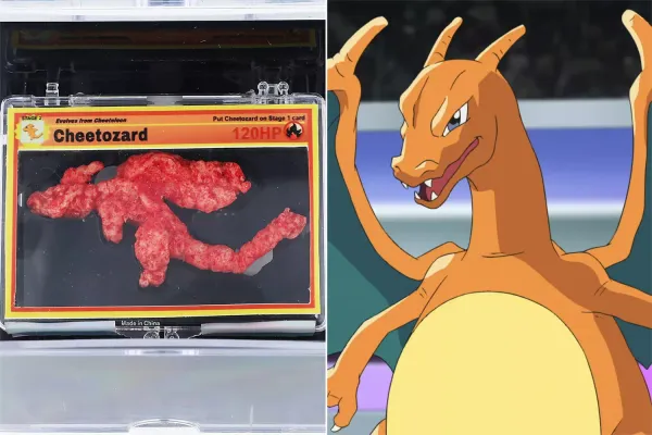 Uma pessoa comprou um Cheetozard por meio milhão de reais em um leilão